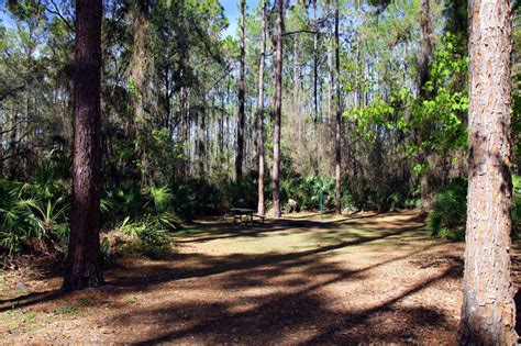 OFFWEGO!: A Week at Florida's Rodman Reservoir Campground