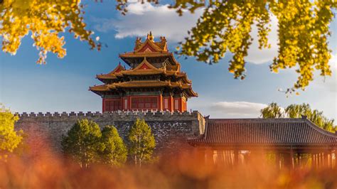 Turret Of Palace Museum at fall (Forbidden city, Beijing) - backiee