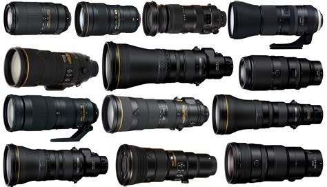 The Best Telephoto Lenses for Nikon Cameras (2024)