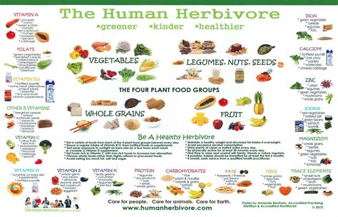 Human Herbivore | Plant based eating, Plant food, Veggie delight