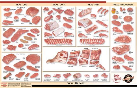 pork veal chart - Google Search | Pork cuts chart, Meat cuts, Veal