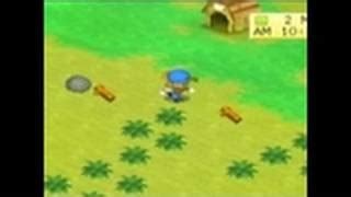 The Fairy - Harvest Moon: Boy And Girl Hints & Secrets for PSP