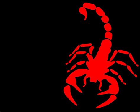 Red Scorpion Wallpapers - Top Free Red Scorpion Backgrounds - WallpaperAccess