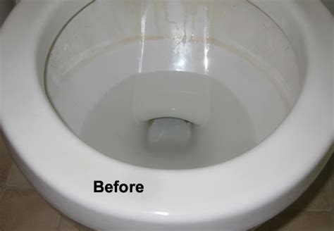 Easy, Illustrated Instructions on How to Remove a Toilet Ring