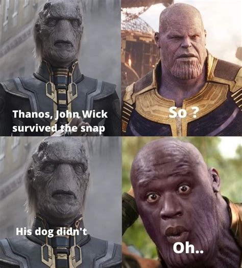 can he beat thanos : r/NANIKPosting