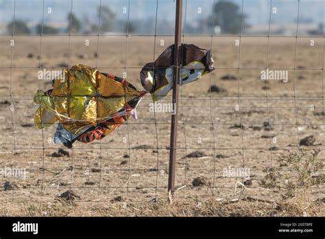 Released balloons hi-res stock photography and images - Alamy