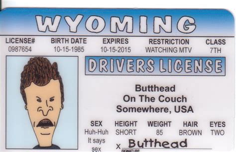 Butthead Fun Fake ID License ** Check out this great image : Home Decorative Accessories ...