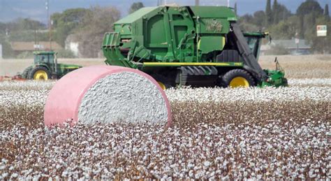 Cotton-picker-and-module – GilaValleyCentral