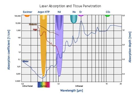 laser-absorption – De Luz Medical Aesthetics