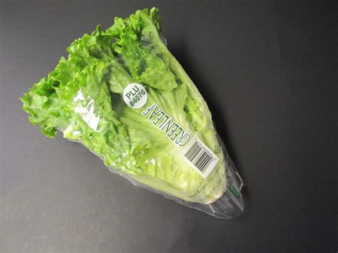 Greenleaf Lettuce Bag PLU (1,000 pack) - Glacier Valley Enterprises