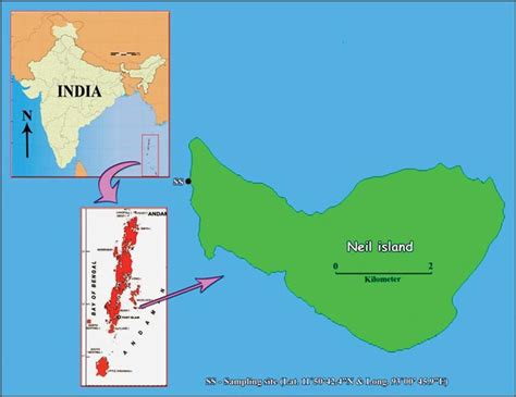 Map showing sampling station in the Neil island. | Download Scientific Diagram