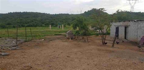 AGRICULTURAL LAND FOR SALE – UMOJAAA