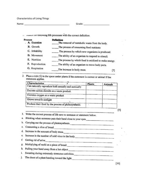 Characteristics Of Life Worksheet - Educational.my.id | Characteristics ...