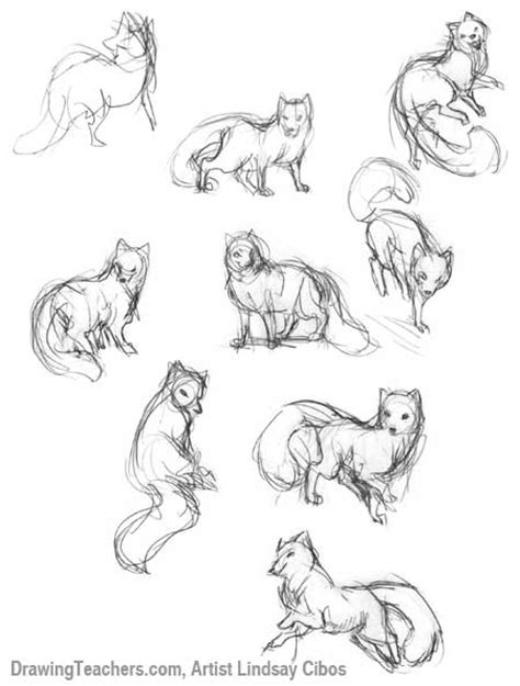 Cartoon Fox - How to Draw a Fox Step by Step