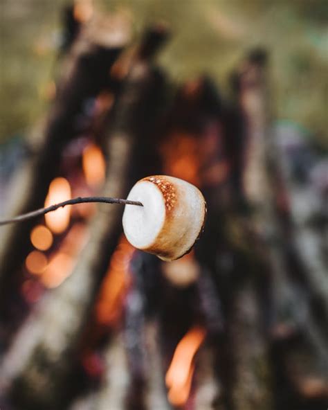 Close-up Of A Grilled Marshmallow On A Stick · Free Stock Photo