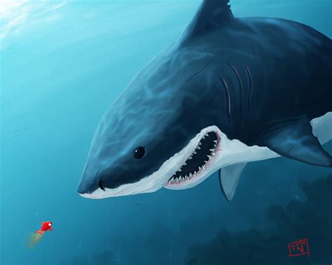 Art Shark Fish wallpaper | 1280x1024 | #8986