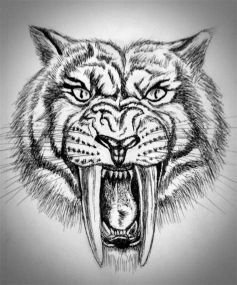 Sketch of a sabertooth tiger in pen. Freehand, based on conceptual ...