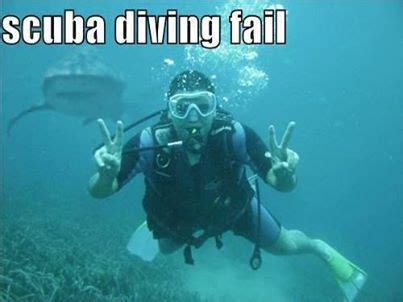 Scuba Diving Fail - instant Humour | Scuba diving, Scuba, Diving