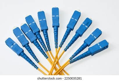 Fiber Optic Connector Pigtail Cable Stock Photo 2250035281 | Shutterstock