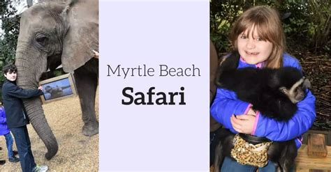 Myrtle Beach Safari - A Once in Lifetime Hands-On Wildlife Experience