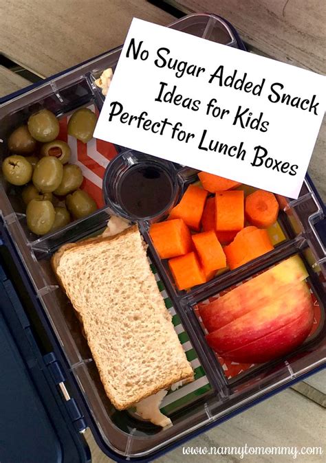 No Sugar Added Snack Ideas for Kids - Perfect for Lunch Boxes | Lunch snacks, Kids snacks, Kid ...