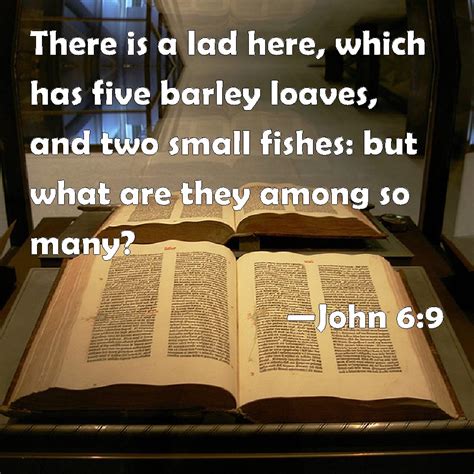 John 6:9 There is a lad here, which has five barley loaves, and two ...