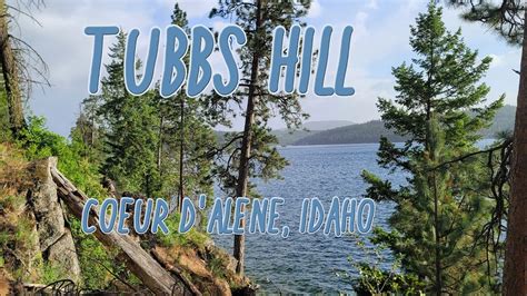 Hiking Tubbs Hill, Coeur d'Alene, Idaho - YouTube