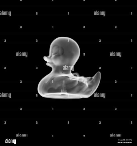 Toy rubber duck, X-ray Stock Photo - Alamy