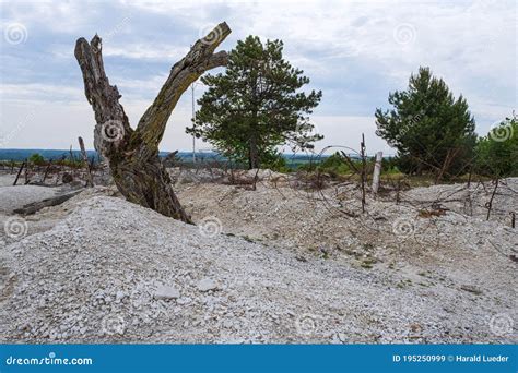 Battlefield in the Ardennes Stock Image - Image of natur, kampf: 195250999