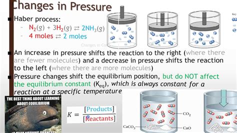 ChemC 18.2: Shifting Equilibrium - YouTube