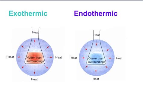 Endothermic Vs Exothermic Reaction Worksheet