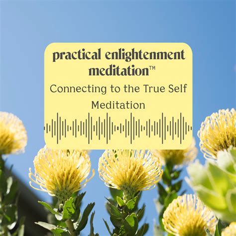 Connecting to the True Self Meditation | Solluna by Kimberly Snyder