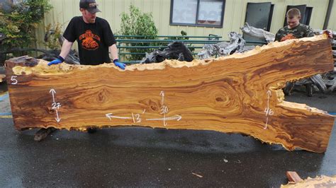 Live Edge Elm Burl & Slabs - Fine Woodworking | Redwood Burl Inc.