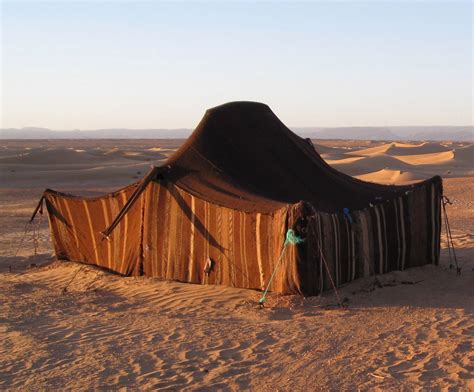 nomad tent | Tent, Vardo