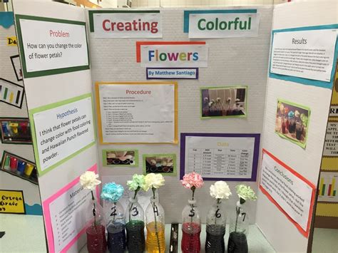 Carnations And Food Coloring Science Fair Project - Coloring Walls