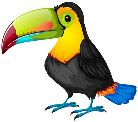 Toucan Free Png - ClipArt Best