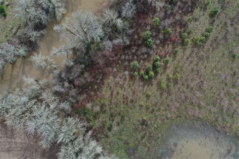 Protecting Floodplains on the Tualatin River - Tualatin Soil and Water ...