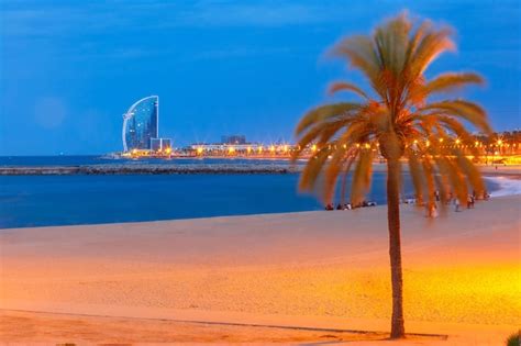 Premium Photo | Barceloneta Beach in Barcelona at night Spain