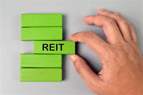 A Deep Dive into Canadian Real Estate Investment Trusts (REITs)