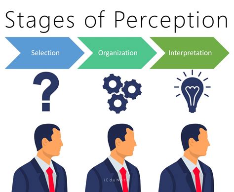 Perception: Definition, Importance, Factors, Perceptual Process, Errors