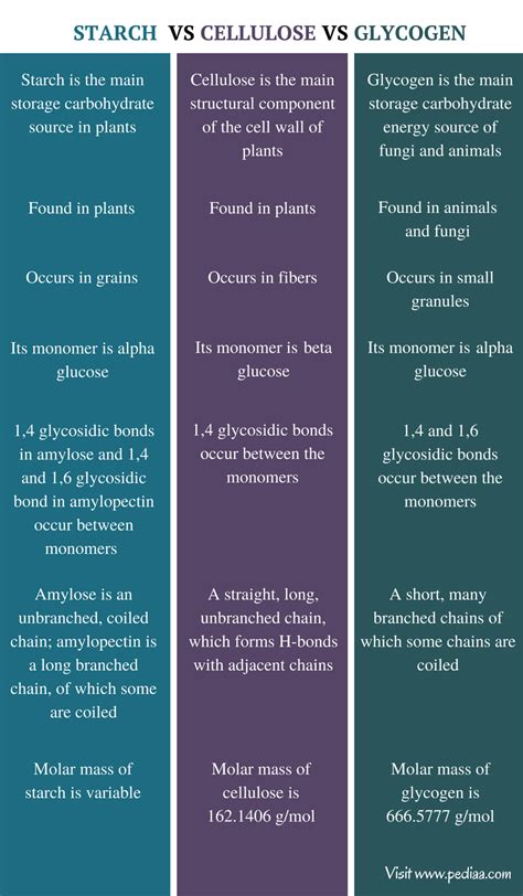 Difference Between Starch Cellulose and Glycogen | Structure, Properties, Source, Function