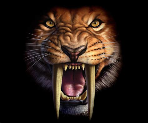 Sabertooth Tiger