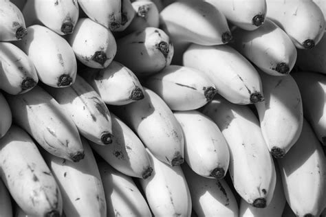 Black And White Bananas Free Stock Photo - Public Domain Pictures