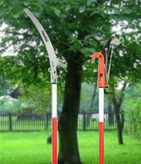 The 5 Best Manual Pole Pruners