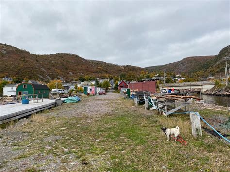 Newfoundland – Day 4, Petty Harbour – Maddox Cove – Parts Unknown Pugs – PUPs