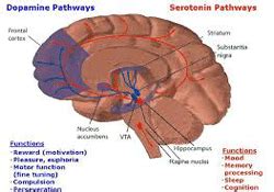 Ayurveda Treatment for Bipolar Disorder