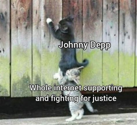 Pin by Ina Rache on Johnny! | Johnny depp funny, Johnny depp, Really funny memes