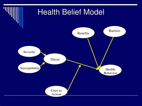 Health Belief Model Sample