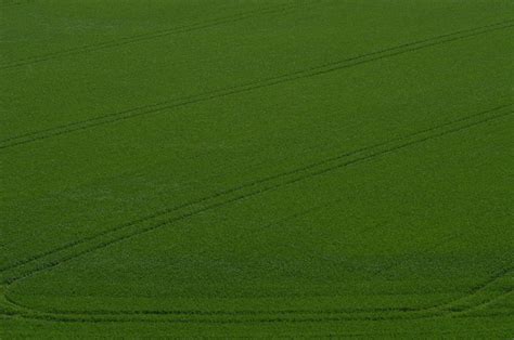 Free Images : grass, structure, field, lawn, sunlight, texture, leaf, green, color, metal, soil ...