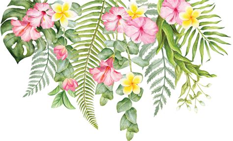 Tropical Flowers Png Transparent Tropical Flowers Png Transparent Png ...